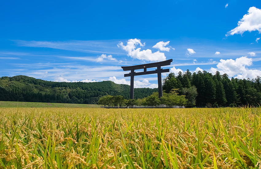 パダサ 熊野古道｜マインドフルネス瞑想・ヨガ・アート